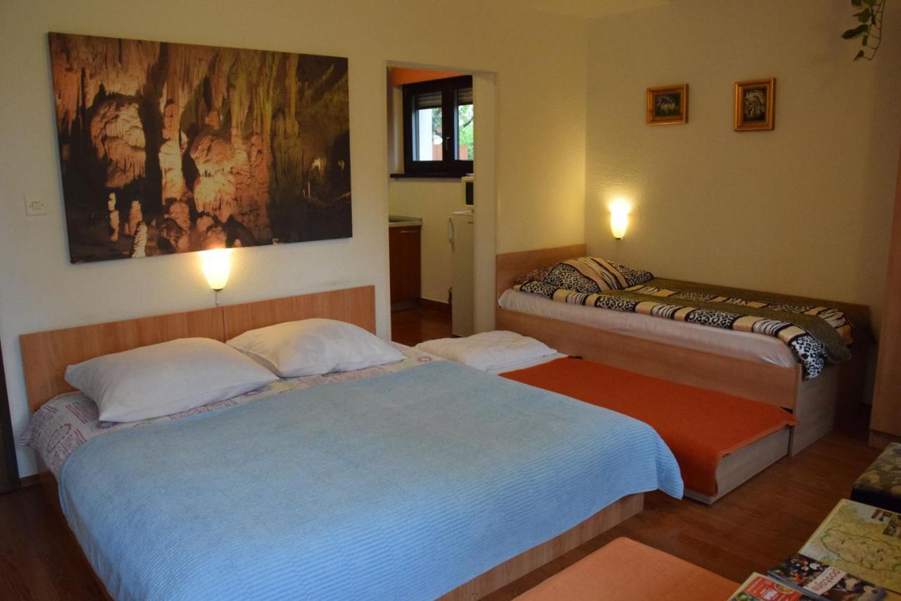 Rooms Ribnikar Postojna Dış mekan fotoğraf